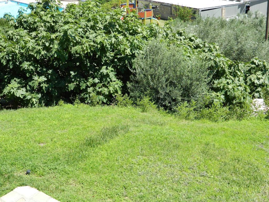 Hotel Glicorisa Beach Pythagorion Dış mekan fotoğraf