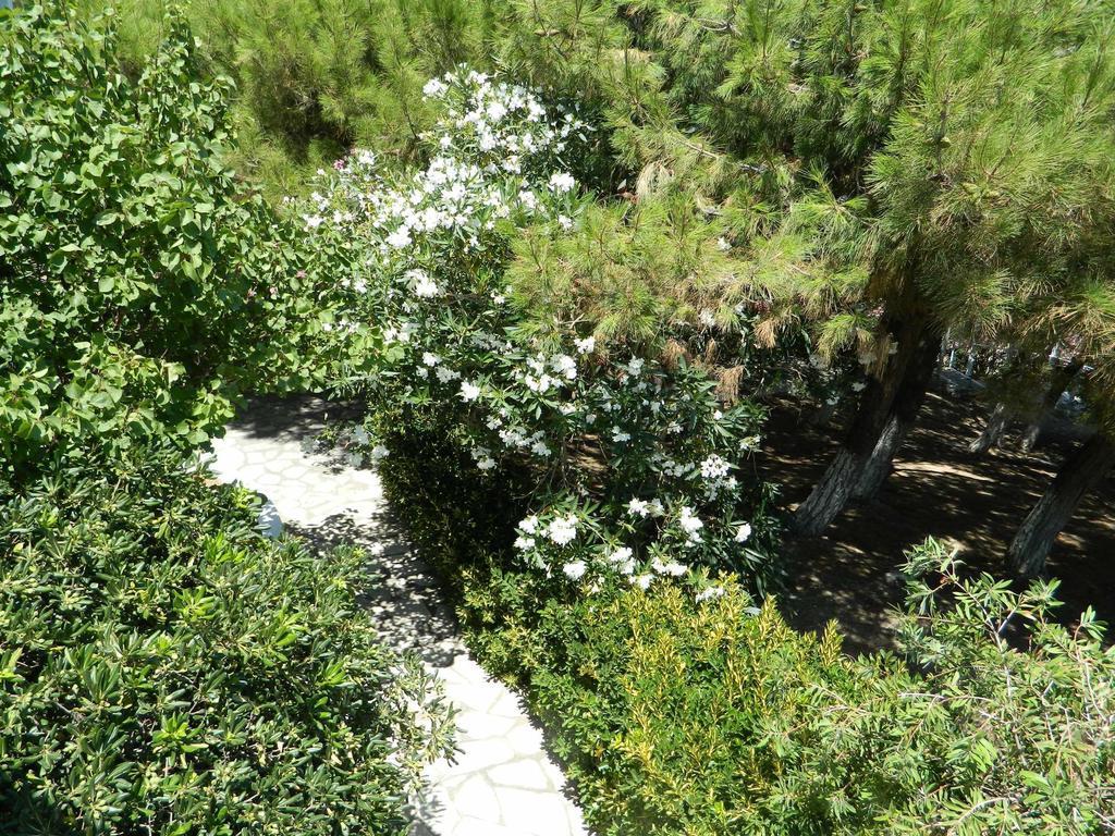 Hotel Glicorisa Beach Pythagorion Dış mekan fotoğraf