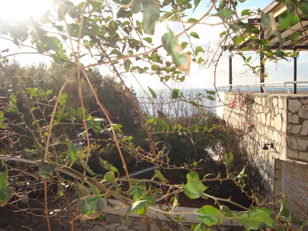 Hotel Glicorisa Beach Pythagorion Dış mekan fotoğraf
