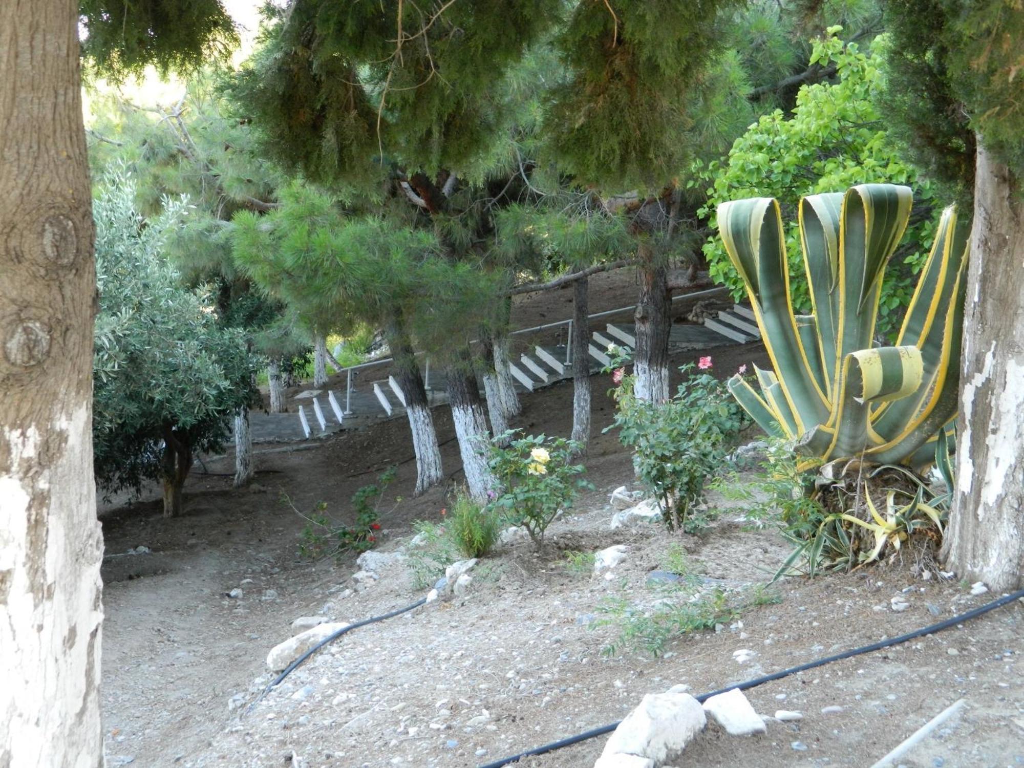 Hotel Glicorisa Beach Pythagorion Oda fotoğraf